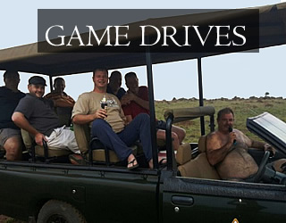 Game drives Mpumalanga